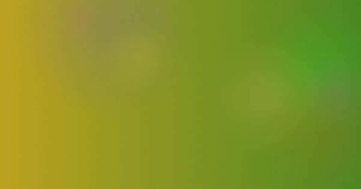 东京热加勒比高清无线是什么